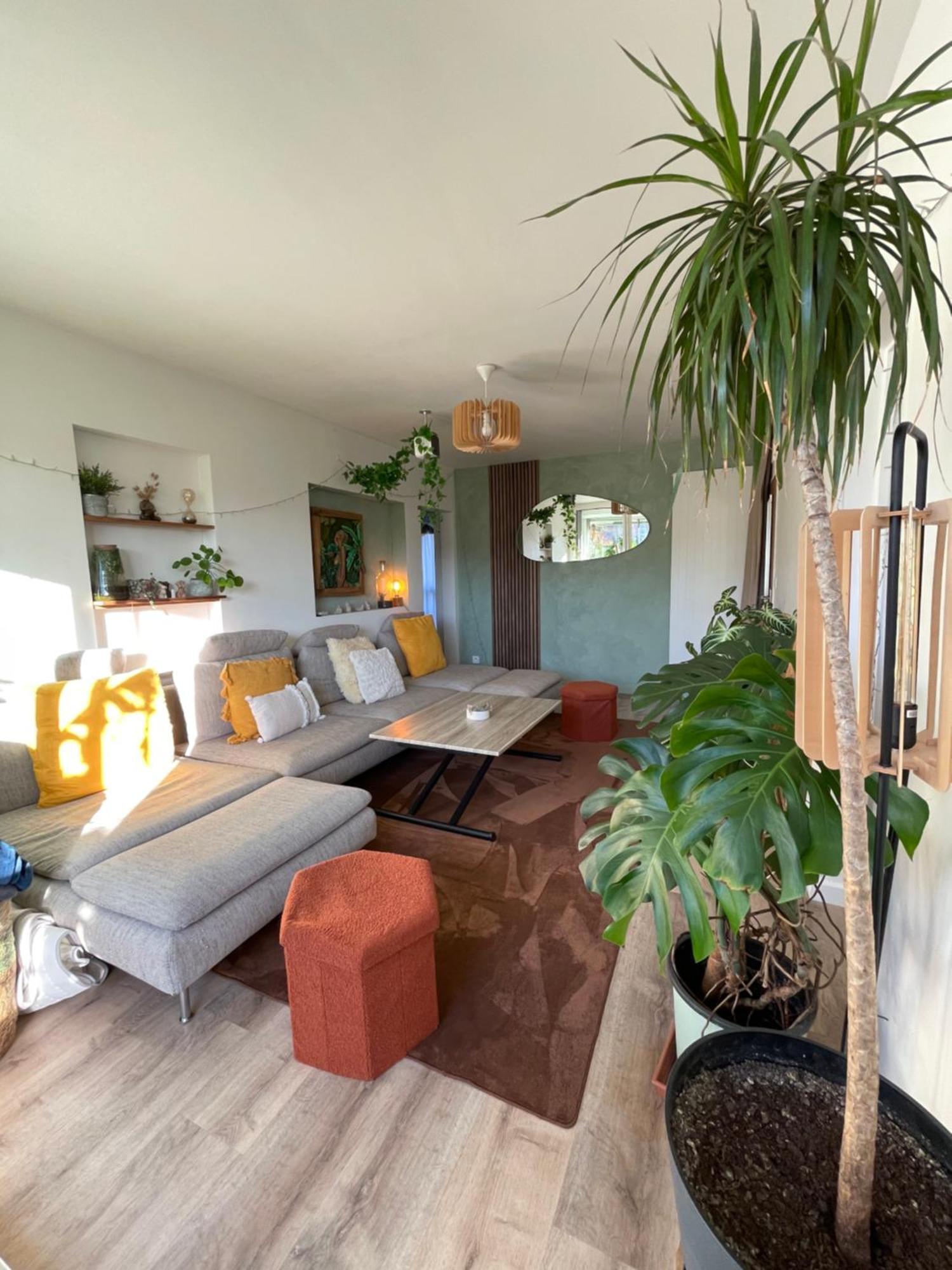 Appartement T3 - Foret & Plage Anglet Exterior foto