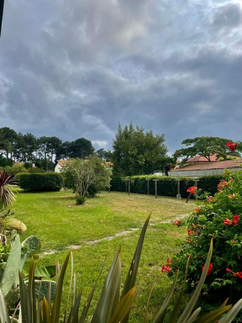 Appartement T3 - Foret & Plage Anglet Exterior foto