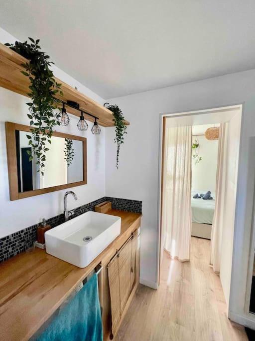 Appartement T3 - Foret & Plage Anglet Exterior foto
